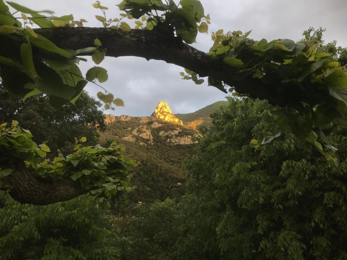 L'Abri La Vall Соред Екстер'єр фото